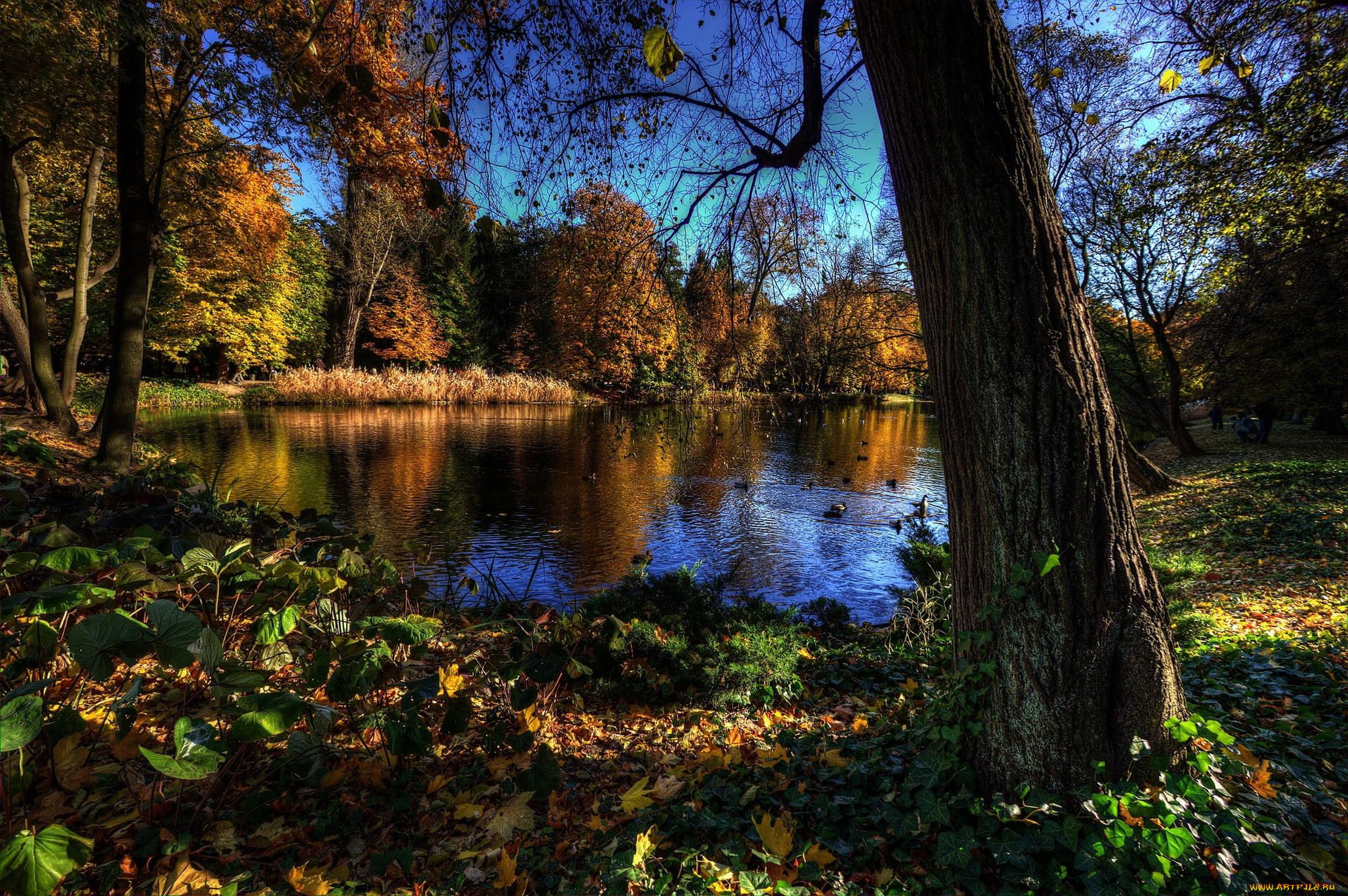 ujazdw park , , , , , , 